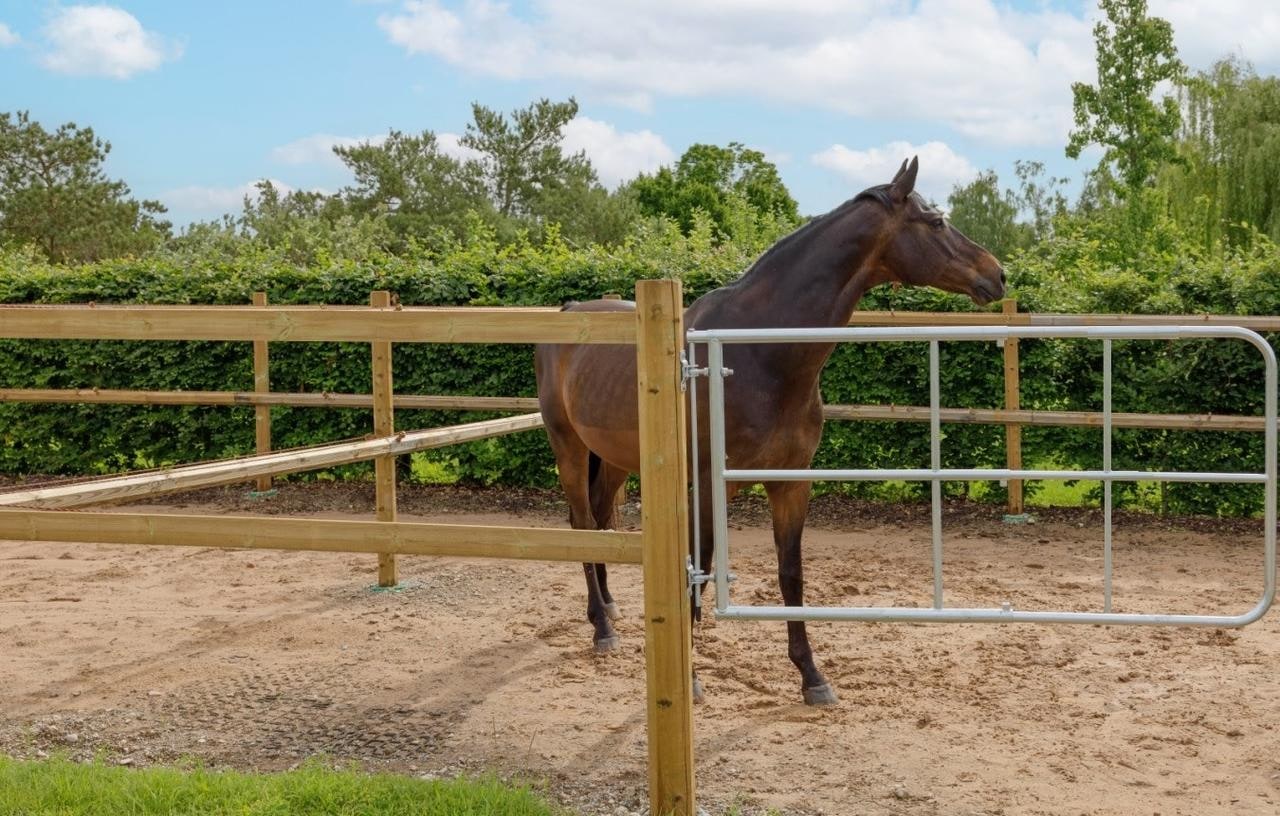 WAHL-FENCE Barrière d'herbage réglable pour chevaux 2-4 m