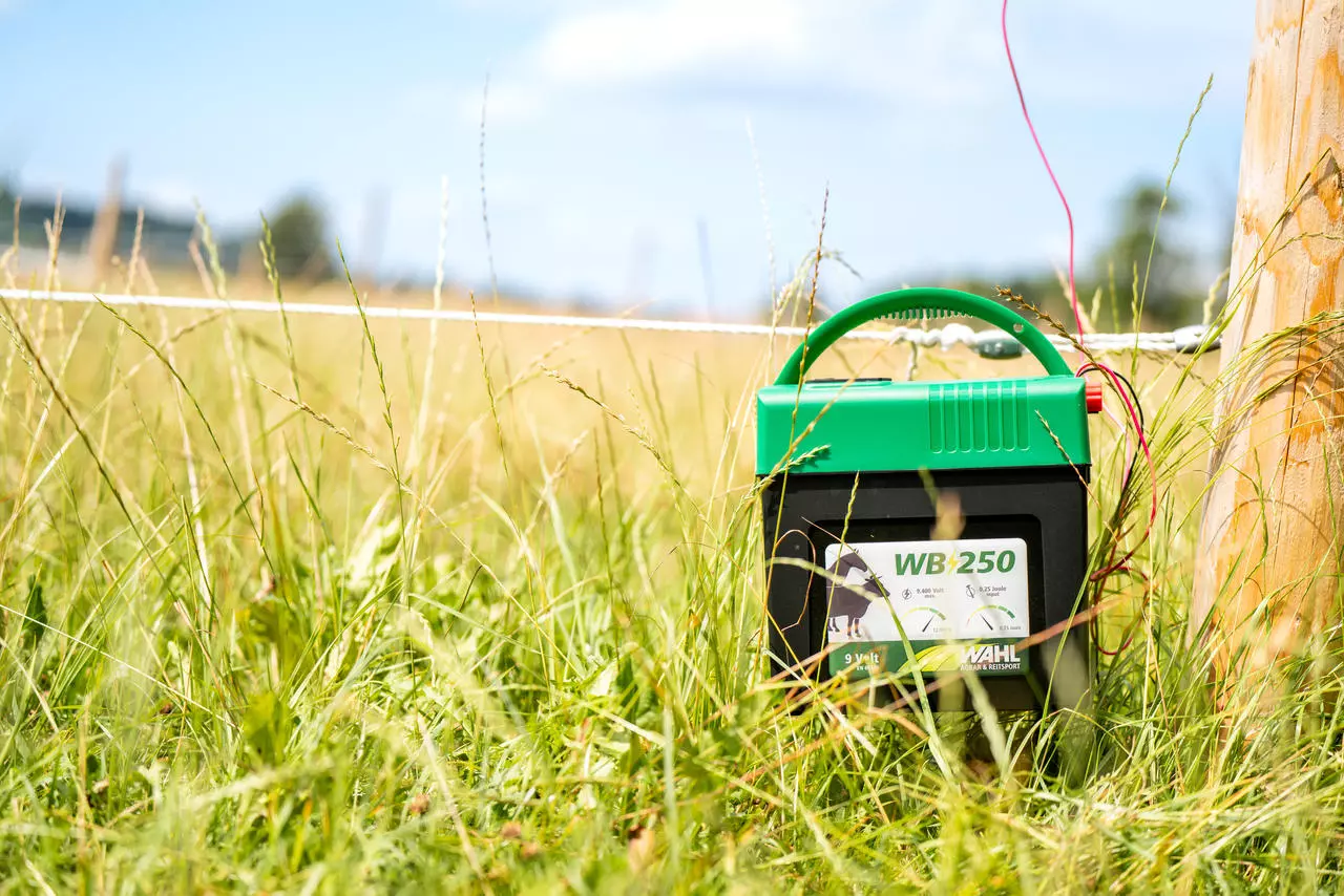 WAHL-FENCE WB 250 - 9 V-Batterie Weidezaungerät