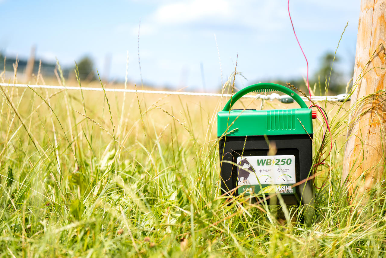 WAHL-FENCE Elettrificatore per recinti WB 250 – batteria 9V