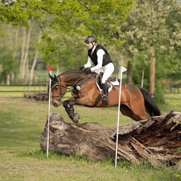 Sprenger Staffe Bow Balance
