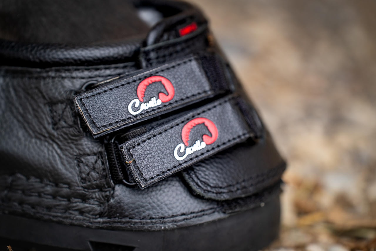 Cavallo Scarpe per zoccoli Simple Regular