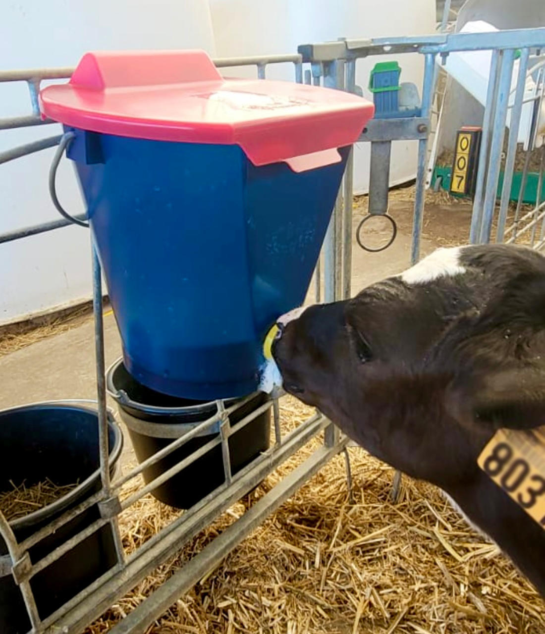 Hiko Deckel für Calf Buddy 1 Tränkeeimer