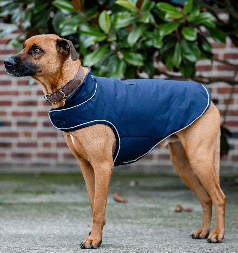 Horseware Signature Dog Rain Coat 100g