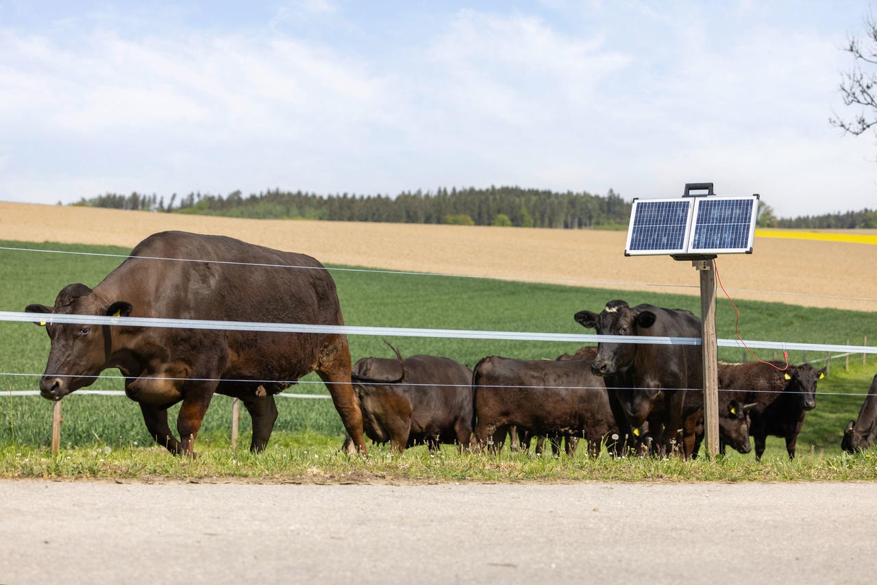 AKO SunPower S2400 Smart