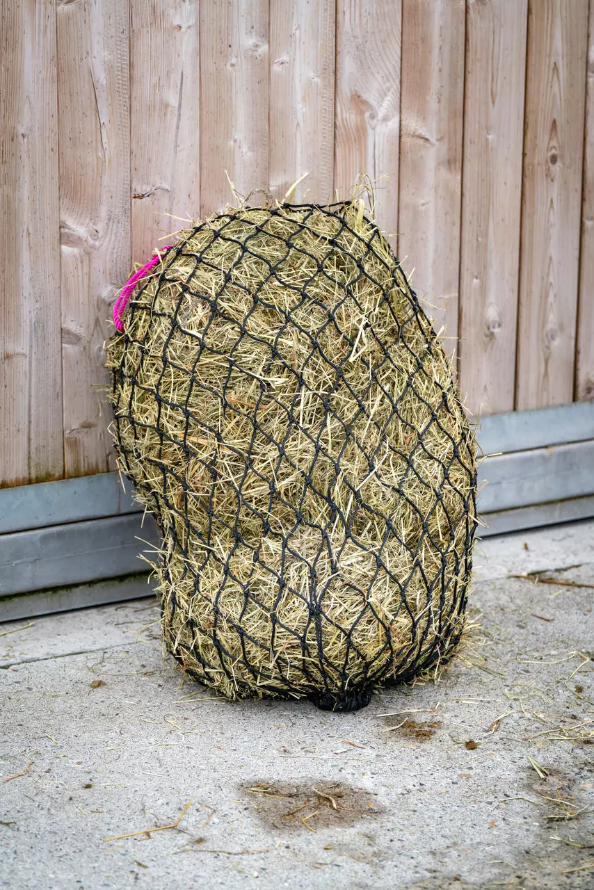 HAYGAIN Heunetz Standard