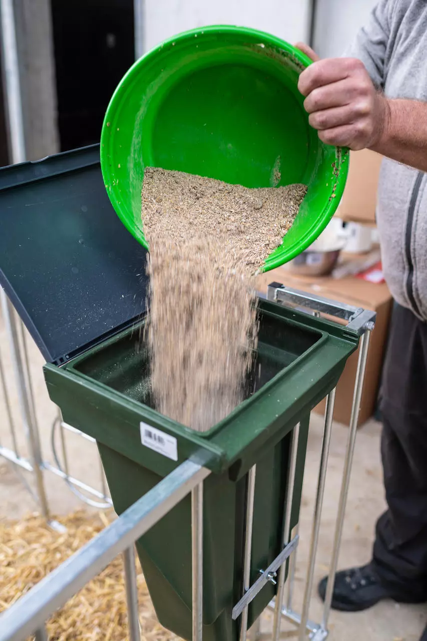 Kerbl Kombi-Futterbox für Kälberhüttenzäune