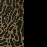 black/ocelot