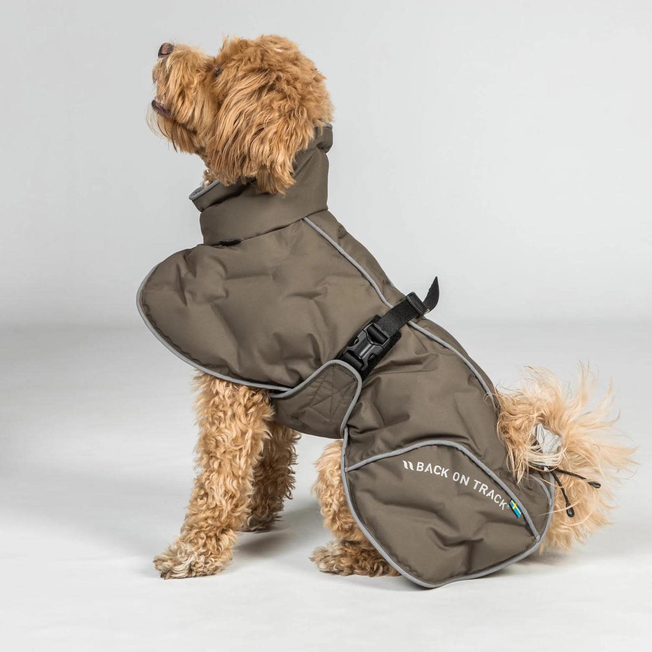 Back on Track BAY Wintermantel für Hunde, Hightail