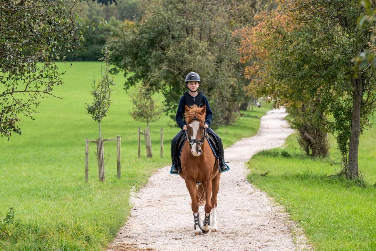 Komperdell Gilet di sicurezza Ultra Vario Junior