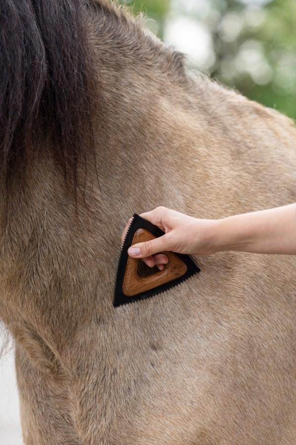 MagicBrush Triangle