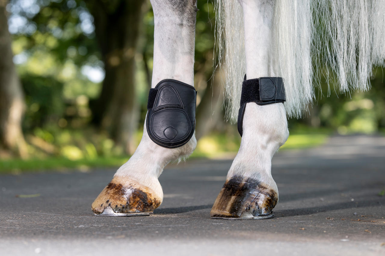 LeMieux Stivali Capella Fetlock in pelle