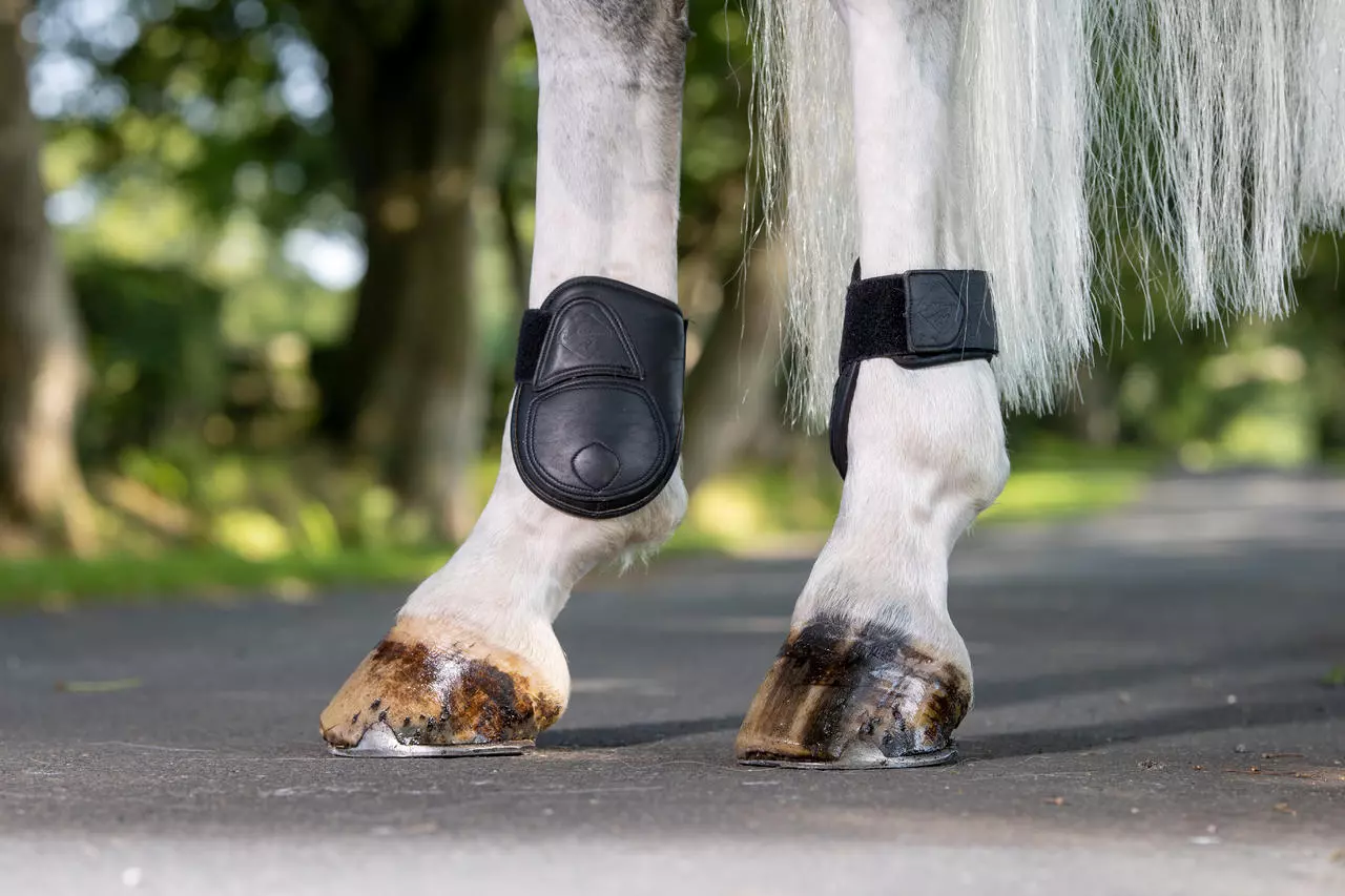 LeMieux Capella Leather Fetlock Boots