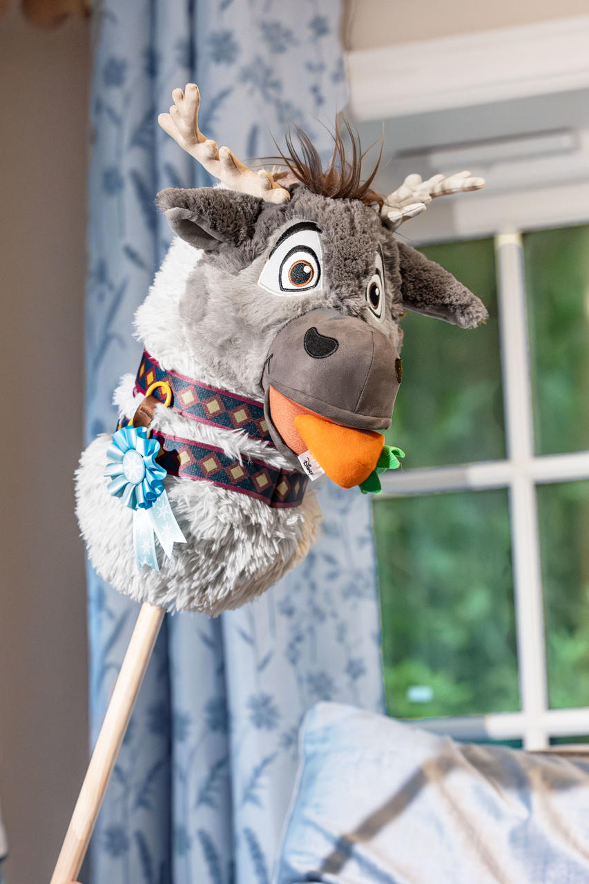 LeMieux Disney Hobby Horse