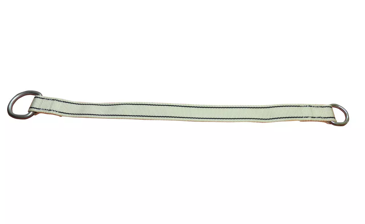 Rosensteiner Gelenkgurt mit Ring für Hinterfuß