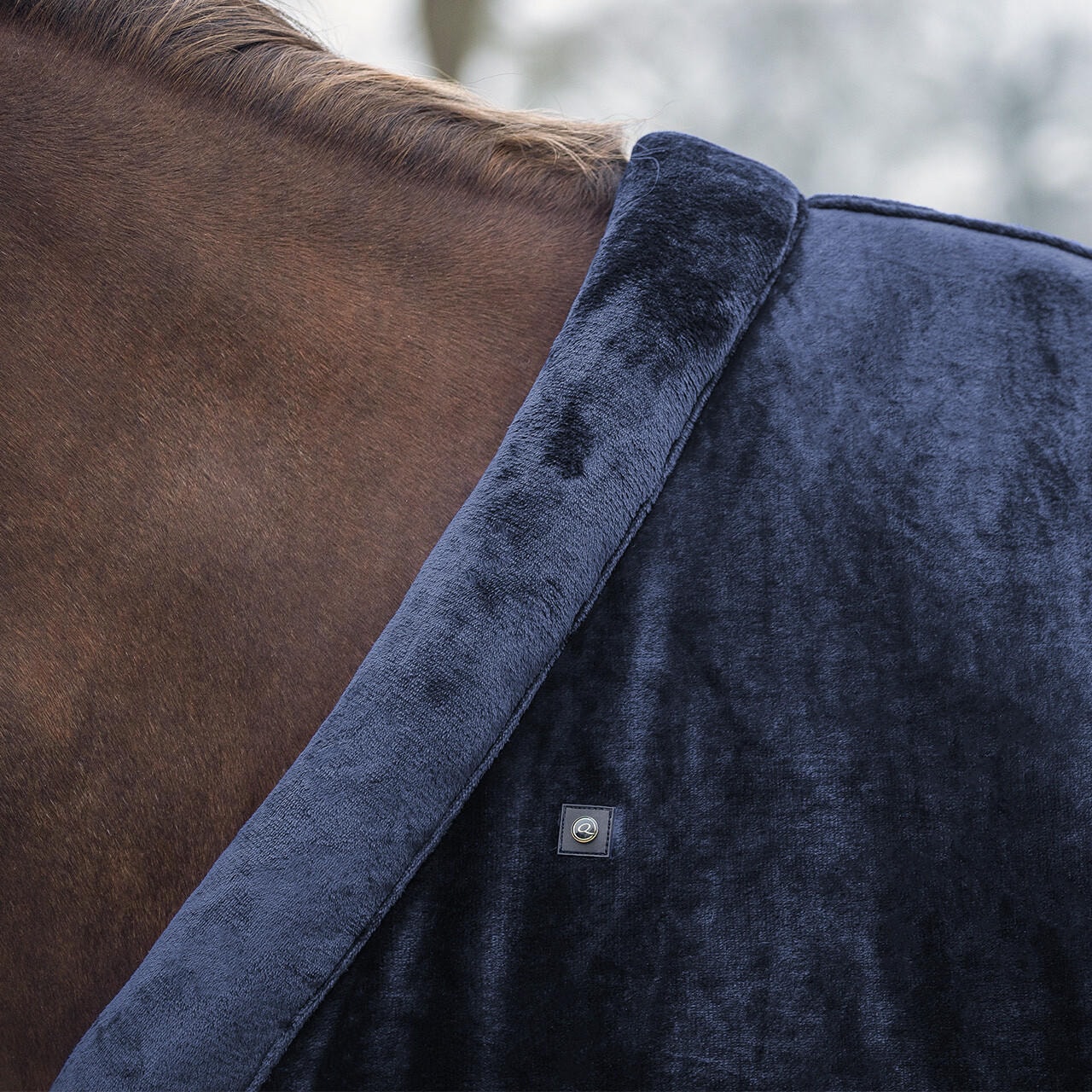 QHP Showdecke Sensisoft