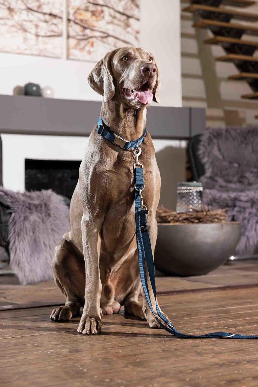 HKM Collare per cani -Anam Cara- Nylon