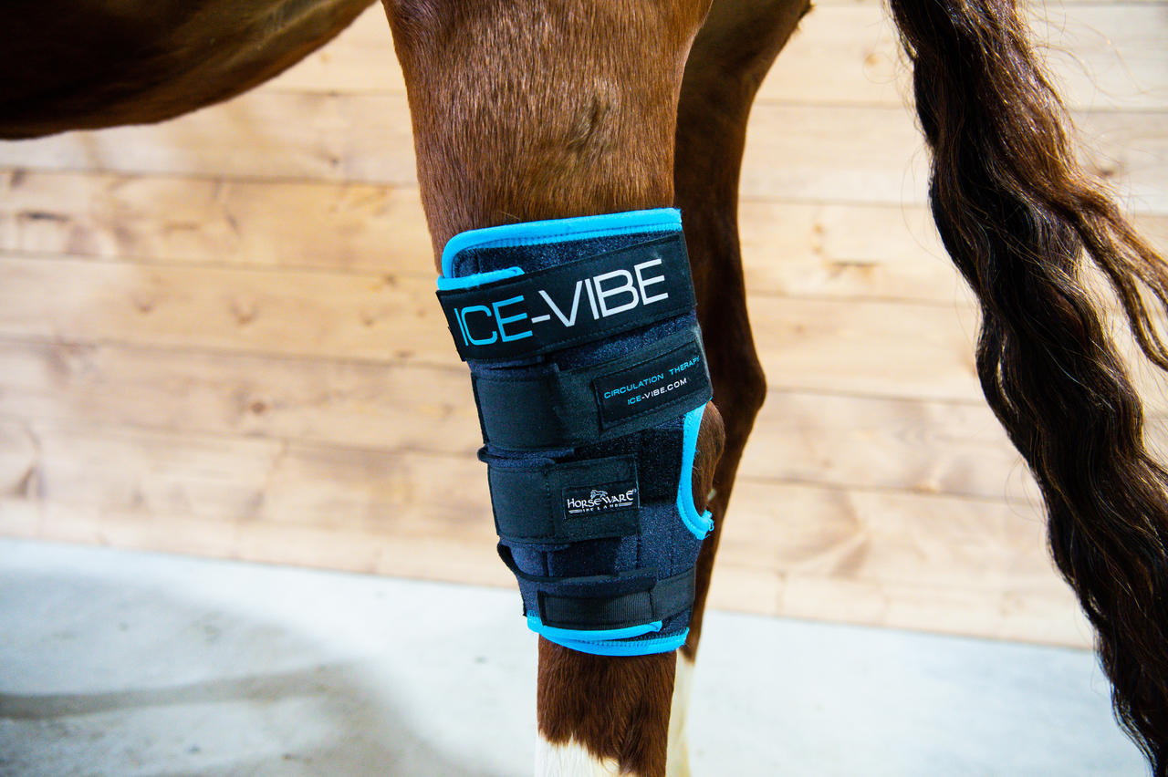 Horseware Ice-Vibe® Hock Wrap