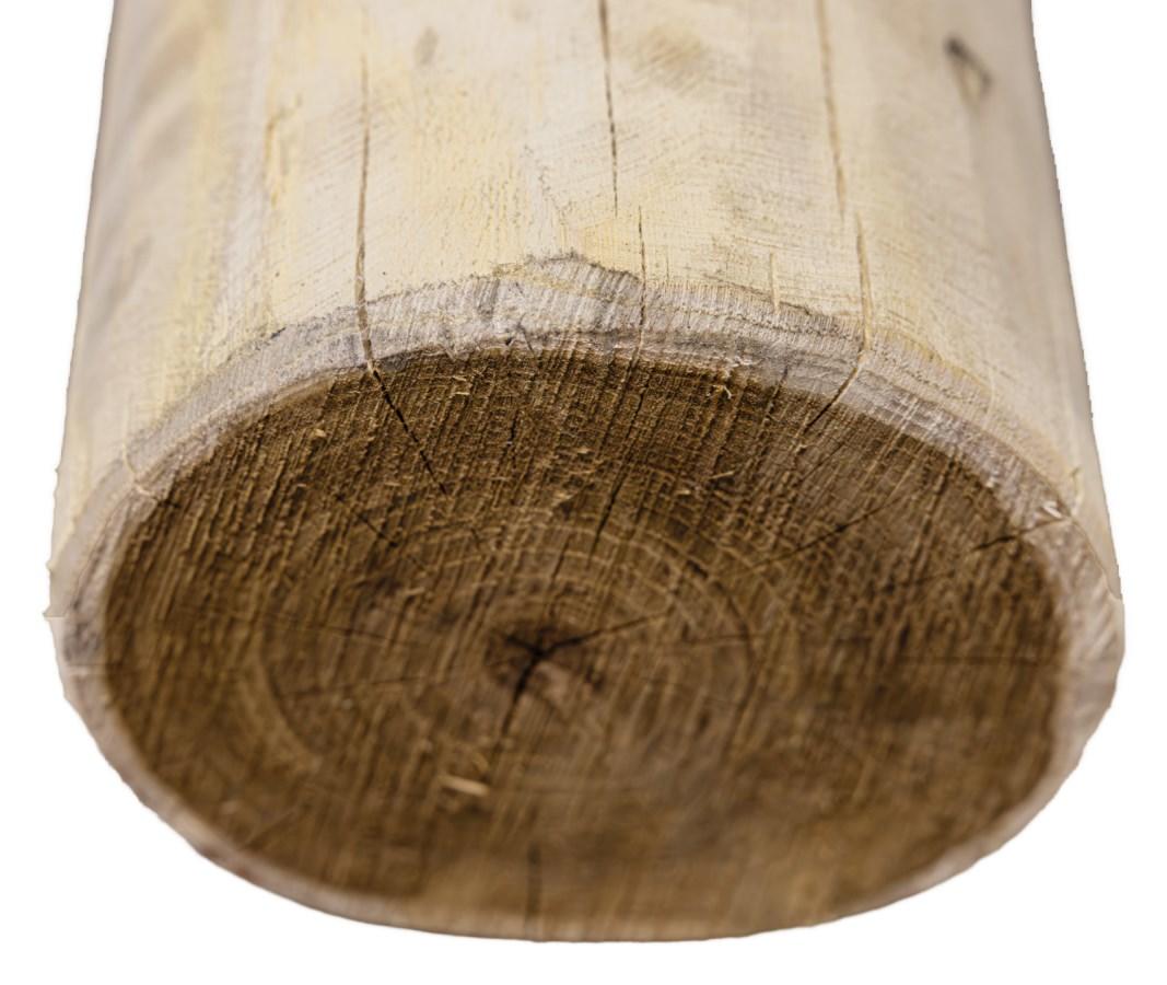 AKO Robinienpfahl, rund, 150cm