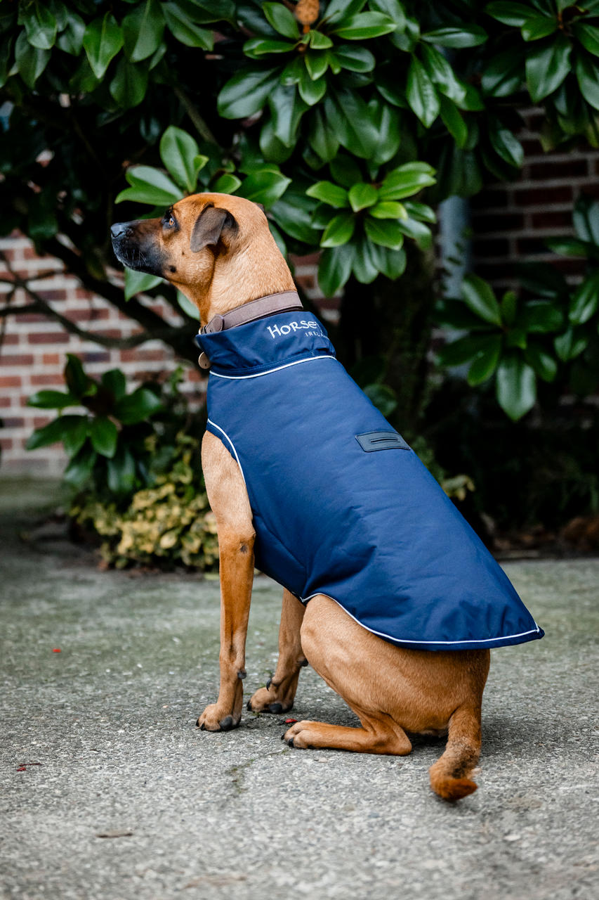 Horseware Signature Dog Rain Coat 100g