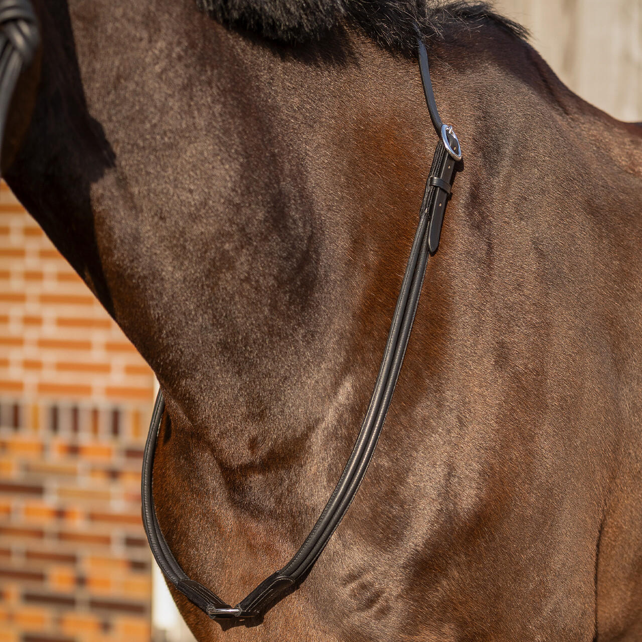 QHP Leder Halsring Liberta