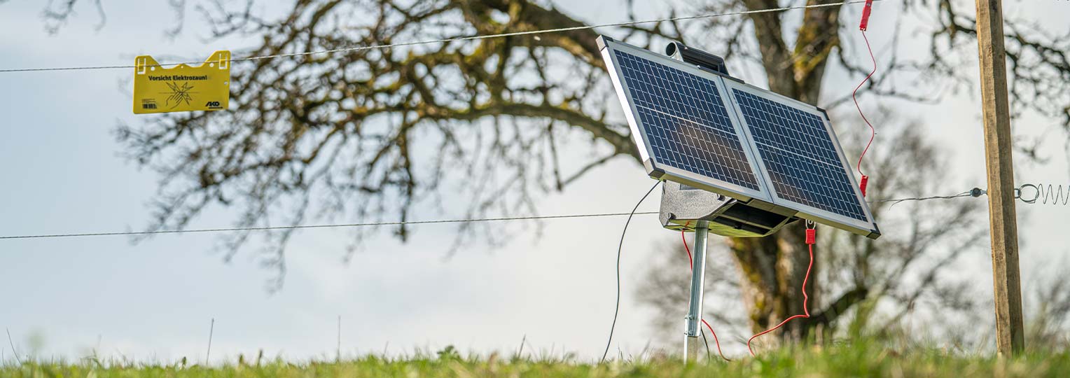 Startseite_Weidezaun_lang_(1)