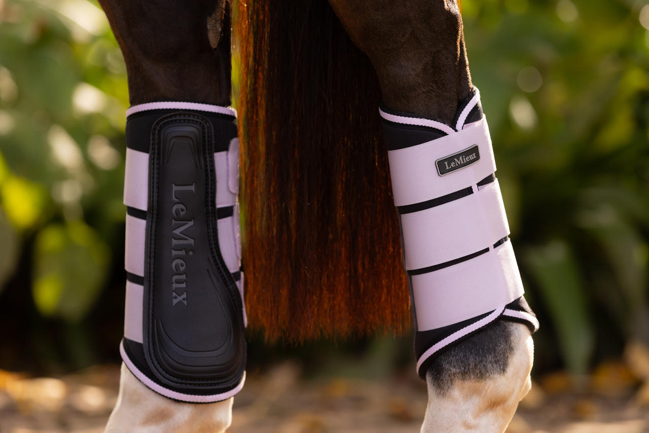 LeMieux Stinchiere Grafter Brushing