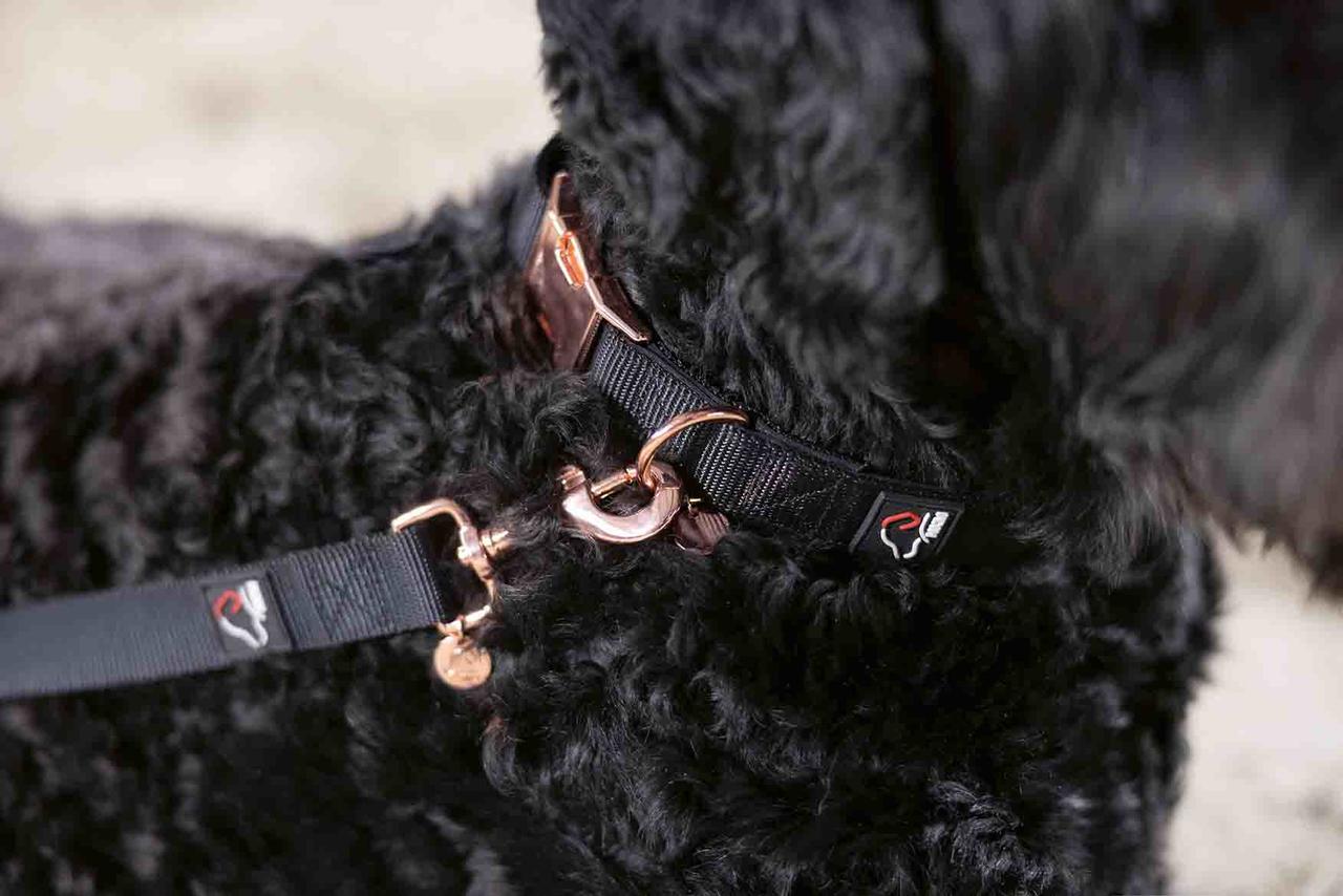 HKM Laisse de dressage pour chiens -Anam Cara- Nylon
