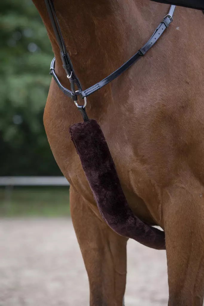 Equithème „Teddy" Vorderzeugschoner