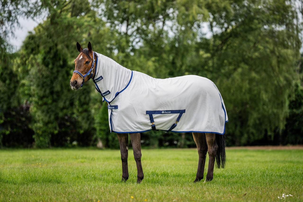 Bucas Freedom Fly Sheet Full Neck Bucas Freedom Fly Sheet Full Neck