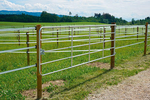 WAHL-FENCE Weidetor verstellbar - Standard - versch. Größen