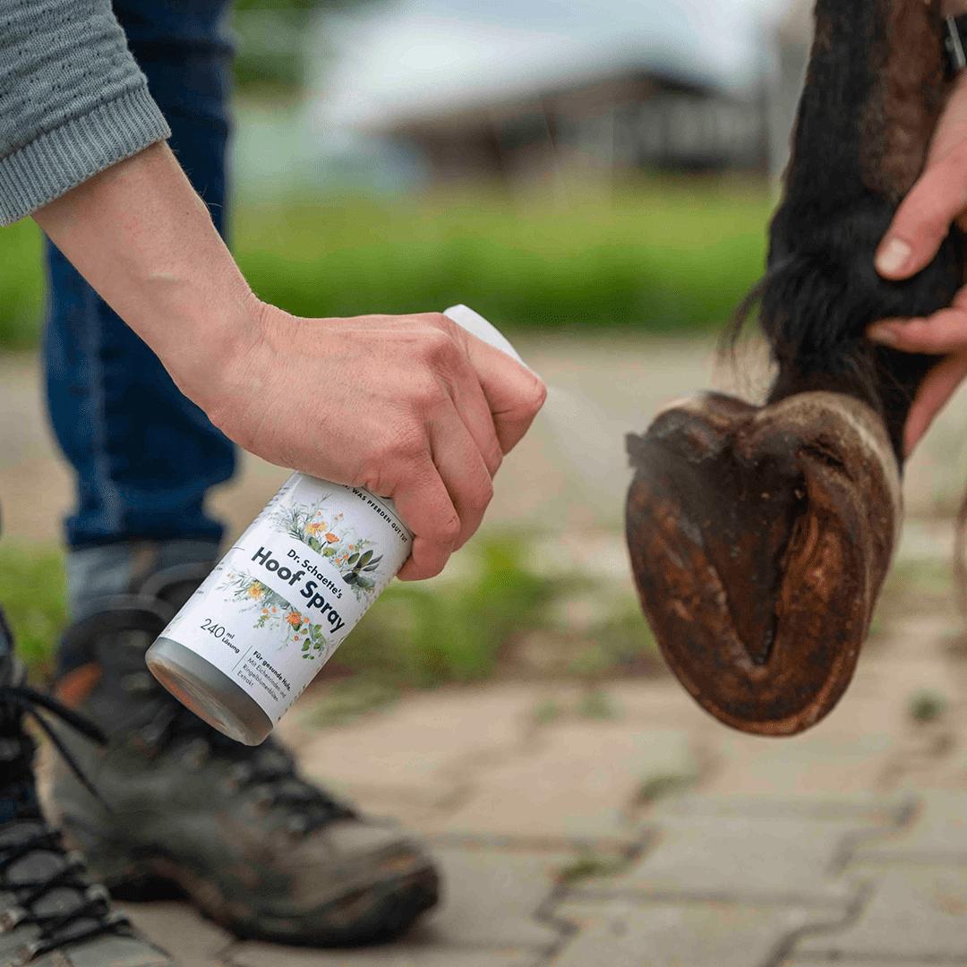 Dr. Schaette ´s Hoof Spray