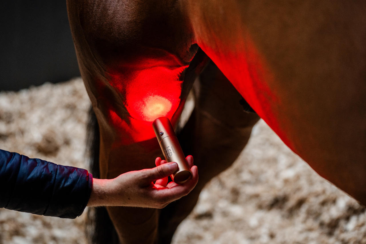 Horseware Dispositivo per terapia a luce rossa LED