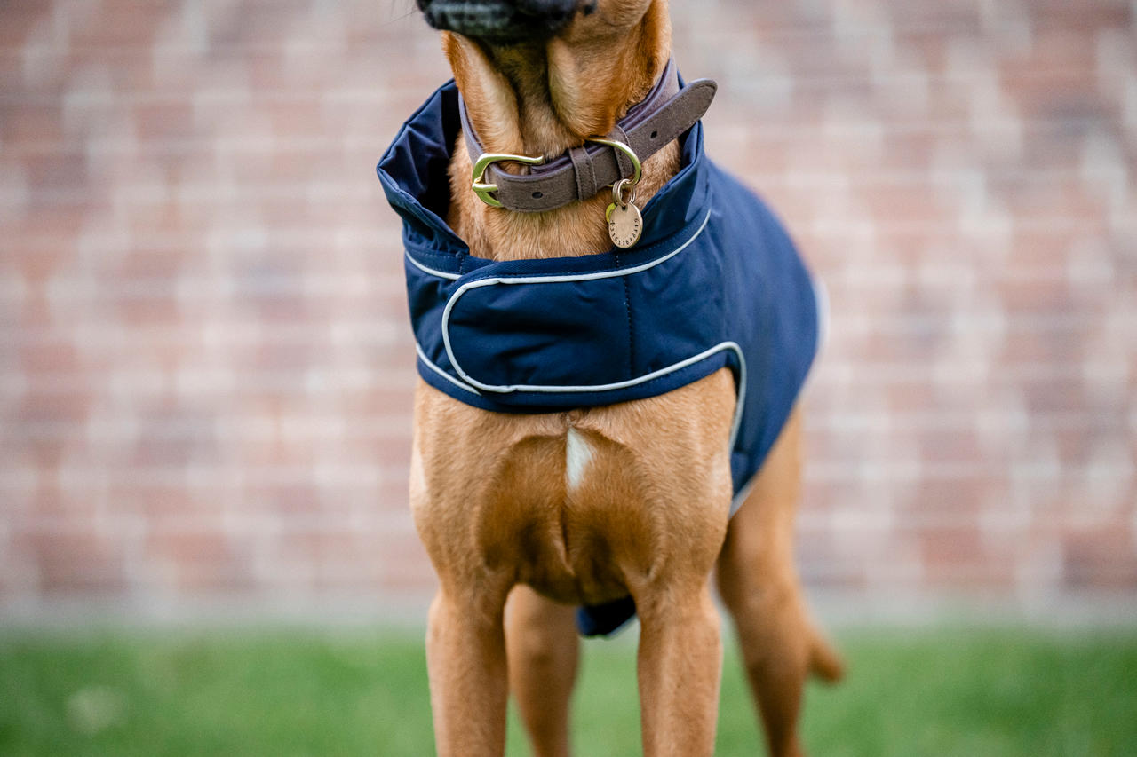 Horseware Signature Dog Rain Coat 100g