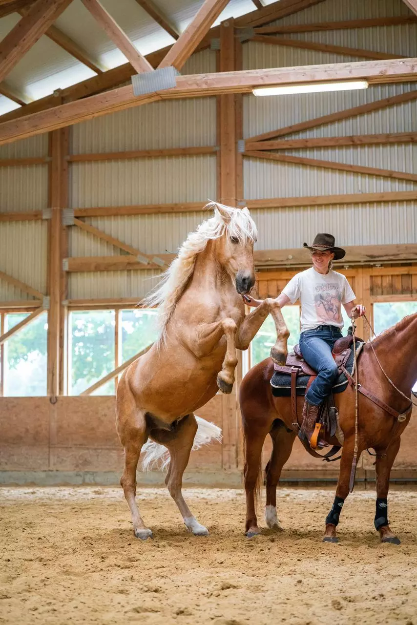 ARIAT R.E.A.L. Perfect Rise Stretch Rosa