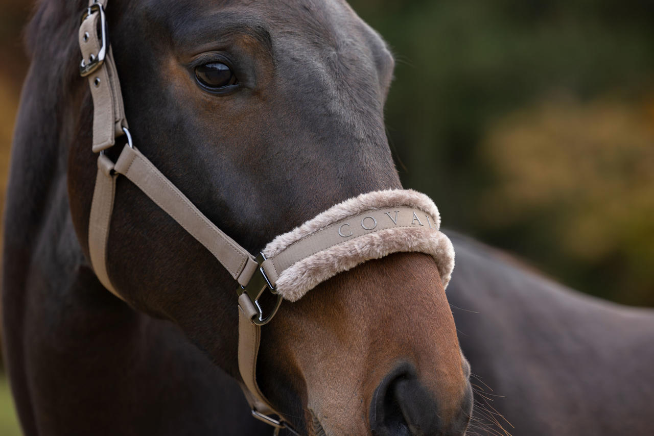 Covalliero Halfter