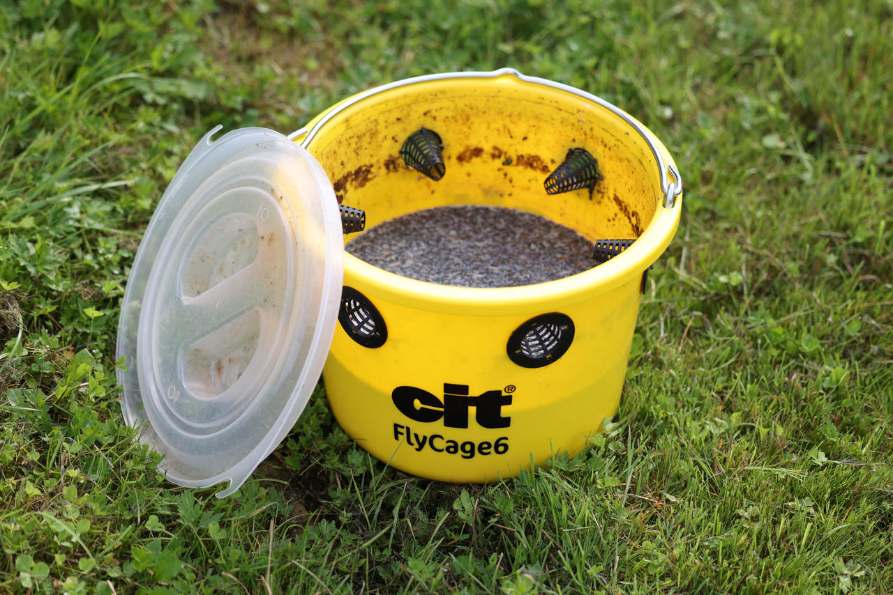 cit Fliegenfalle FlyCage6 - SET