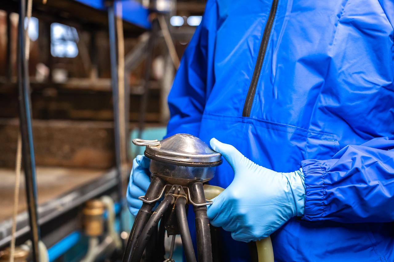 WAHL-Hausmarke Melkhandschuh BLUE-NITRILE 5,5 mil