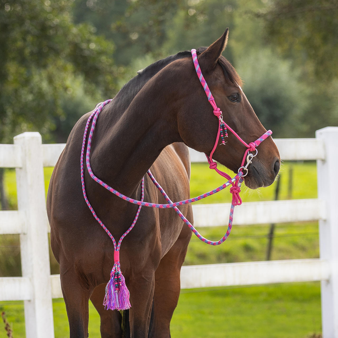 QHP Knotenhalfter Set Liberty