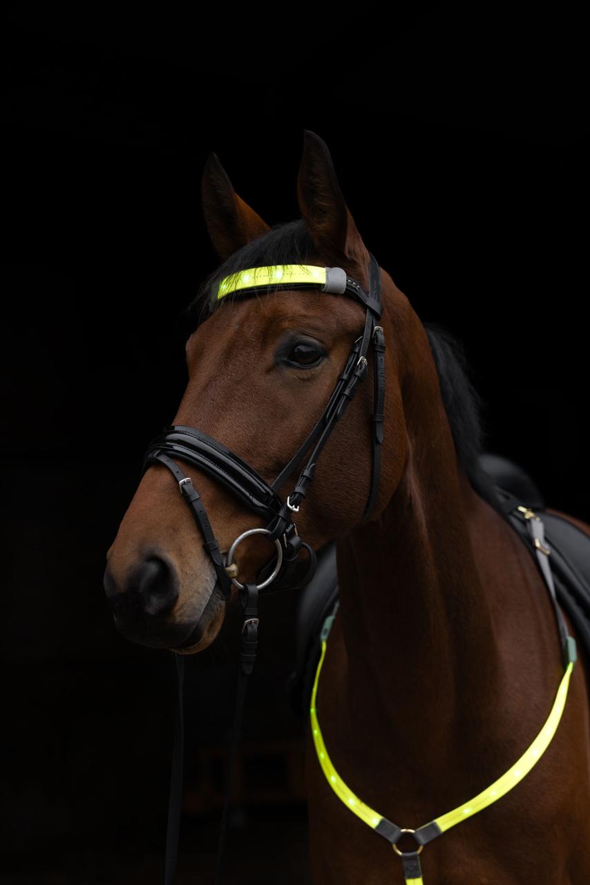 Covalliero Frontalino LED