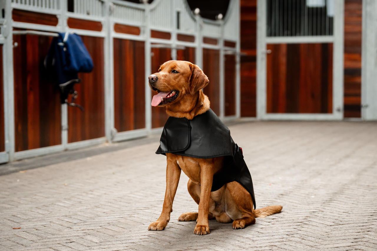 Horseware LED Red Light Therapy Pet Coat