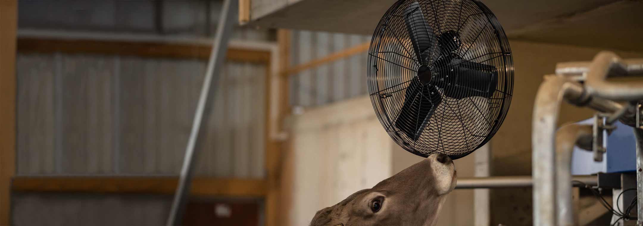 Ventilator_desktop