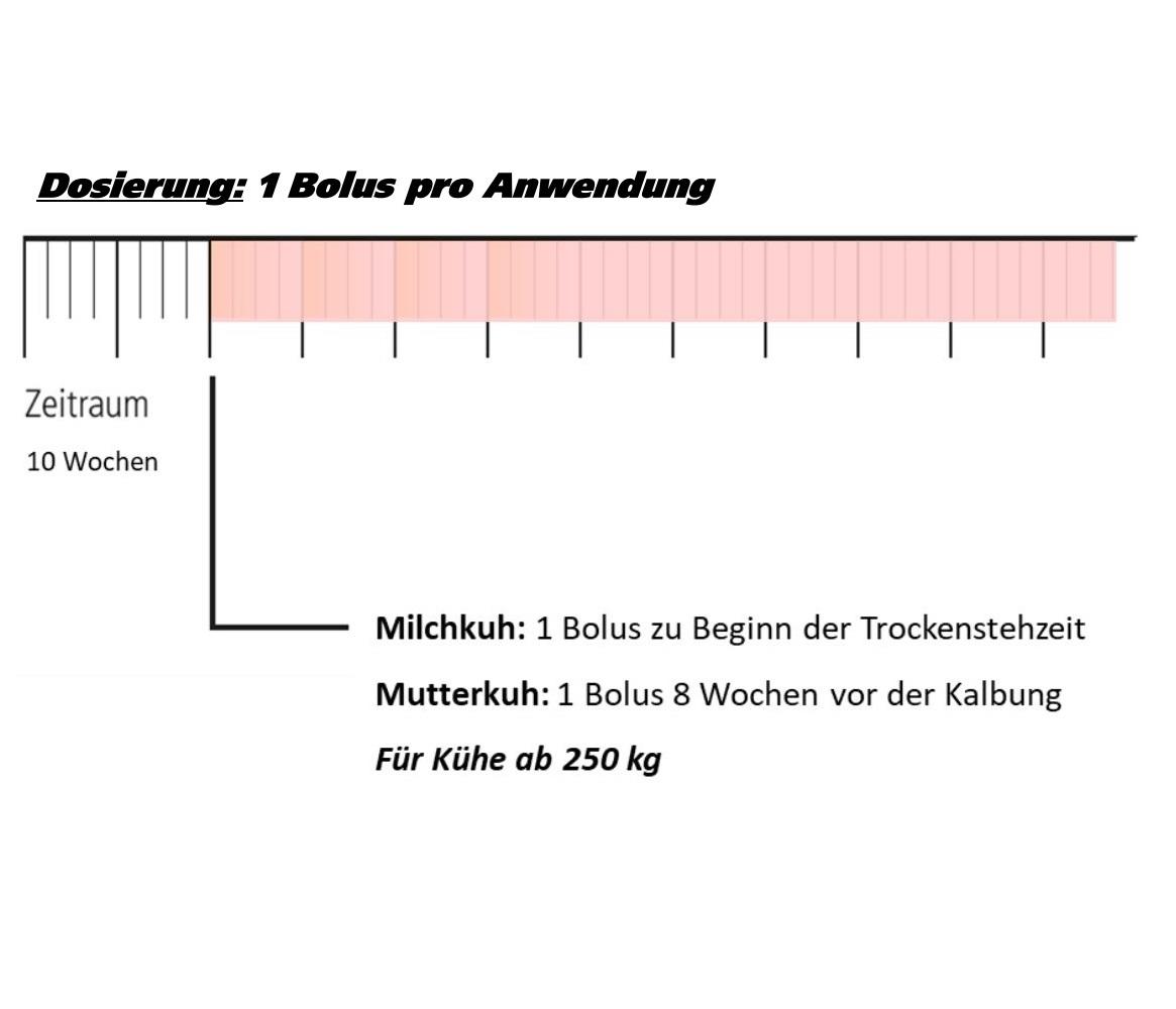 Landmans Best CURATOP Trockensteher