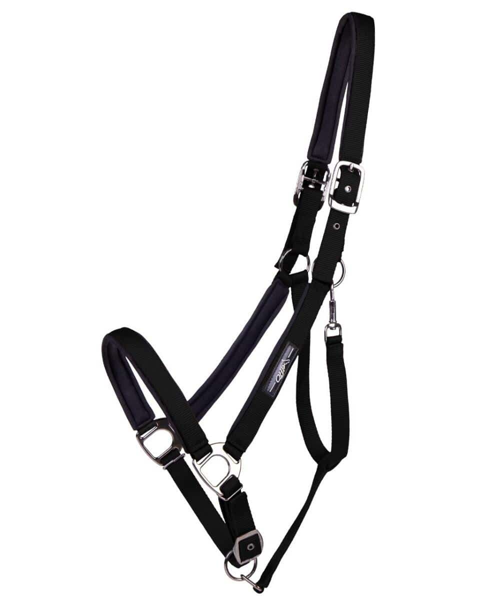 QHP Licol Deluxe cheval de trait