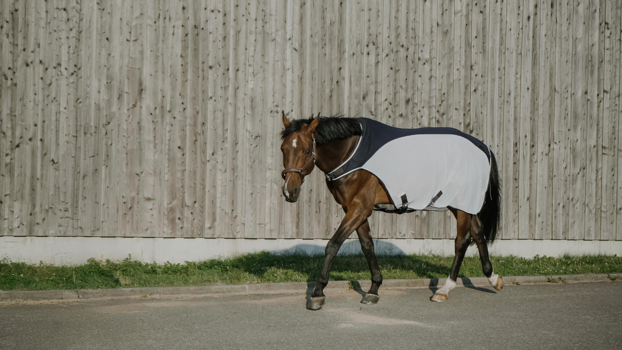 Ekkia FLYCOOL Walker Decke