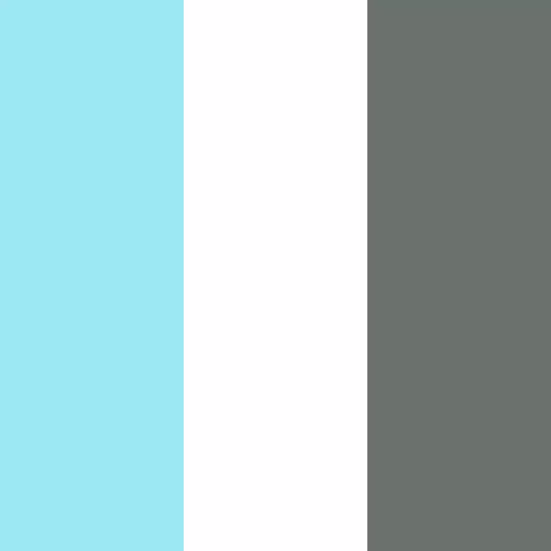 ice/white/stone