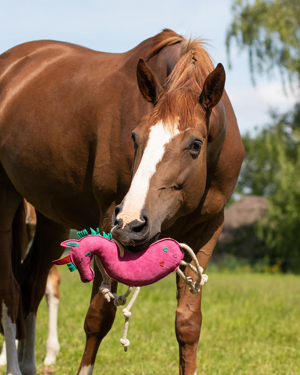QHP Cavallo unicorno giocattolo