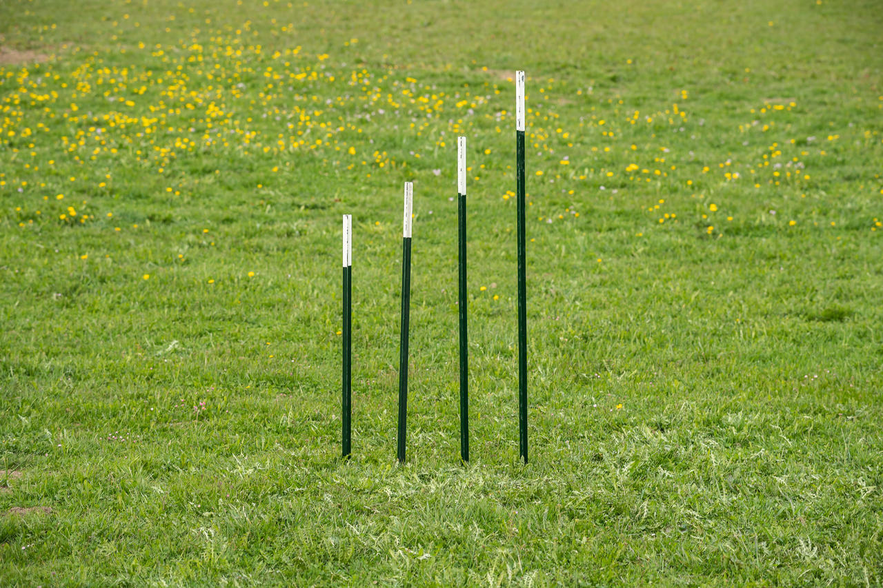 AKO T-Pfosten - 152 cm, Zaunhöhe: 112 cm