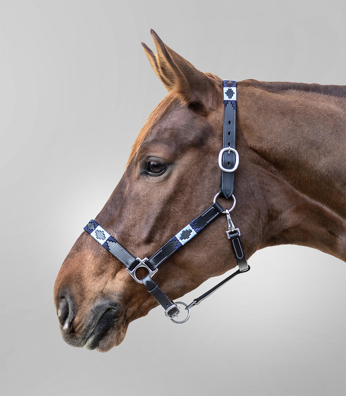 Waldhausen Lederhalfter X-Line Polo