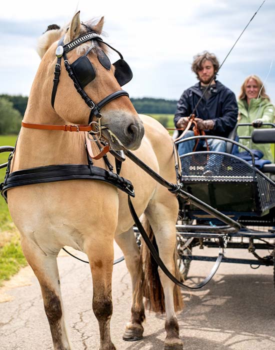 Fahren
