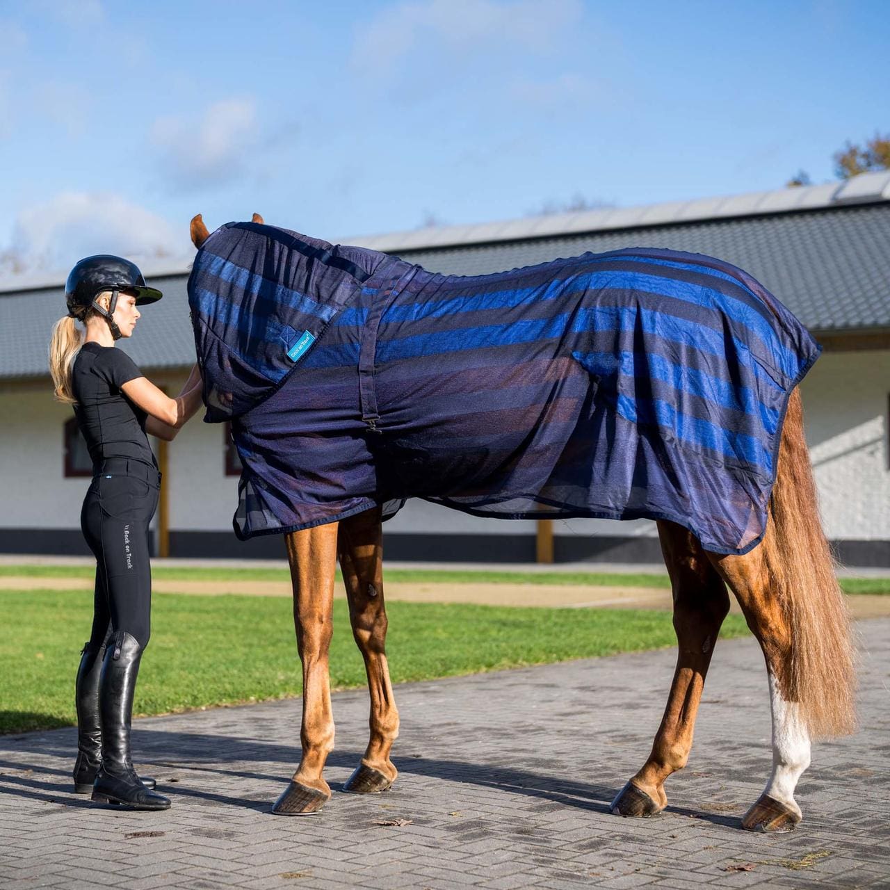 Cool on Track Copricollo rinfrescante per cavalli